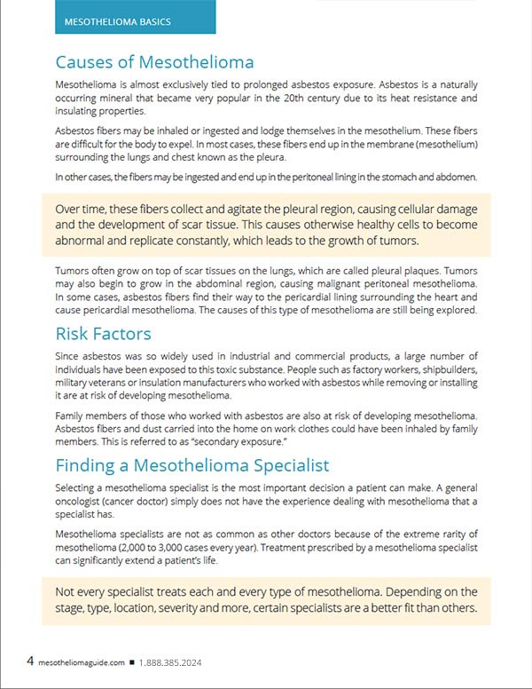 Mesothelioma Basics 2