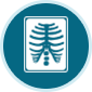 Imaging Tests Icon
