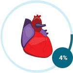 Pericardial Mesothelioma Icon