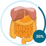 Peritoneal Mesothelioma Icon
