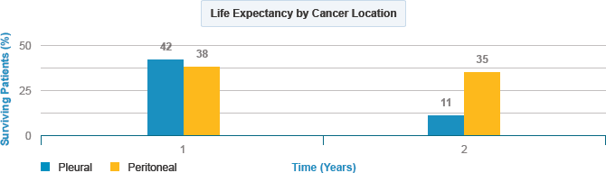 Mesothelioma Life Expectancy  How Can I Increase My Life Span?