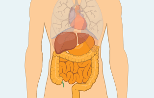 What are the most common symptoms of mesothelioma?