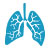 lung icon