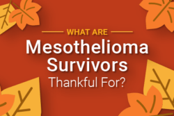 Fall leaves with text: What Are Mesothelioma Survivors Thankful For?