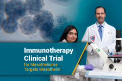 immunotherapy doctors cells microscope