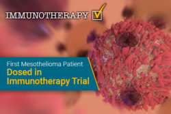 CA 170, immunotherapy, mesothelioma clinical trial