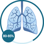 Pleural Mesothelioma
